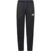 ADIDAS PERFORMANCE Športne hlače črna