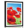 Plakat s paspartujem cvetovi maka na travniku - 30x45 black