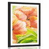 Plakat s paspartujem rdeči tulipani v vintage varianti - 20x30 no frame