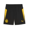 Mens Puma Borussia Dortmund Training Shorts, Black, Size XL, Sport