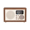 Blaupunkt Home Receiver FM PLL SD/USB/AUX