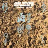 James Krivchenia - Performing Belief (Transparent Blue Coloured) (LP)