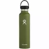 Hydro Flask 24 oz Standard Mouth Flex Cap Olive flašica 710  ml