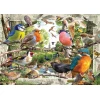 Ravensburger Puzzle Naši pernati prijatelji 1000 kosov