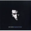 Justin Sullivan - Navigating By The Stars (Reissue) (2 LP)