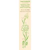 Leane Creatief Embossing Folder Žep za embosiranje 1 kos