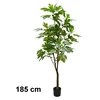 Lilium stablo smokve 185 cm 567313