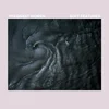 Pregnant Women - Soft Features (LP)