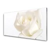 tulup.si Slika na steklu Rose flowers 140x70 cm 2 obešalnika