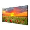 tulup.si Slika na platnu Mak narava rastlin pred soncem 125x50 cm