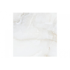 Majestic Onyx Glossy 60x60