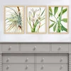 Wallity Set uramljenih slika 3NTC_12621251, 3 dijela