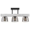 RABALUX Plafonjera cardamom srebrna