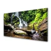 tulup.si Slika na akrilnem steklu Forest stream slap narava 120x60 cm 4 obešalnika