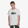 Lacoste Majica LCB PUFF TEE