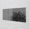 tulup.si Slika na akrilnem steklu Opombe 100x50 cm 4 obešalnika