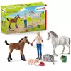 Schleich Veterinarka sa kobilom i ždrebetom 42486