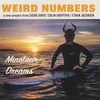 Weird Numbers - Minotaur Dreams (LP)