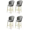 HANAH HOME Set 4 barske stolice Alte Grey Gold