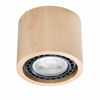 Sollux SL.0913 - Plafonsko svetlo BASIC AR111 1xGU10/40W/230V bukva