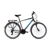 CAPRIOLO ROADSTER TOUR MAN 28 sivo 22