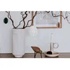 Wallxpert Vaza CY0074