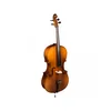Violončelo 4/4 Melodi III s torbo