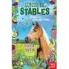 Sunshine Stables: Amina and the Amazing Pony
