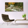 tulup.si Slika na steklu Forest slap narava 140x70 cm 2 obešalnika