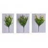 eoshop cvet PHLOX POMLAD s praprotjo 35cm