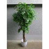 Lilium stablo bagrem 165cm A22159