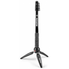Manfrotto Pixi VR EVO