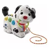 VTECH Interaktivna kuca