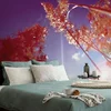 Tapeta jesenska stebla trave - 343x231