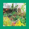 The Reds, Pinks And Purples - Unwishing Well (Limited Edition) (White Coloured) (LP)