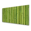tulup.si Slika na steklu Bamboo rastlin narava 140x70 cm 4 obešalnika