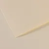 Canson Mi-Teintes 50x65 cm Lily 110 160 g Barvni papirji