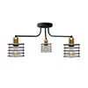 Plafonski luster EDISON 3xE27/15W/230V