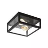 Eglo 99122 - Plafonsko svetlo za kupatilo AMEZOLA 2xE27/40W/230V IP44
