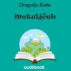 AUDIBOOK Avdio knjiga: Metuljček