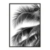 shumee PLAKAT ZA SLIKE V OKVIRJU 43x33 cm Palm P689
