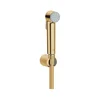 GROHE 27513GL1 - Ročna prha za bide TEMPESTA-F 1250 mm zlata