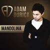 Adam Ďurica Mandolina (CD)