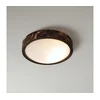 Brilagi - Plafonsko svetlo CARVALHO SLIM SMOKEY 1xE27/60W/230V hrast preč. 27,5 cm