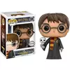 FUNKO POP! HARRY POTTER - HARRY POTTER (WITH HEDWIG)