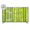 SMART LED TV Zeus 50 ZE50UST2 3840x2160/UHD/DVB-T2/frameless/Android 14/GaiaOS 4.0