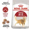 Royal Canin Suva hrana za odrasle mačke Fit 32 - 400gr..