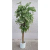 Lilium zeleno sitnolisno stablo 140cm 875631