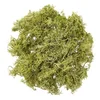 Naravni dekorativni mah - Jelenov lišaj 30 g | Light Green