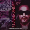 Lenny Kravitz Vedno na begu - vinilna plošča